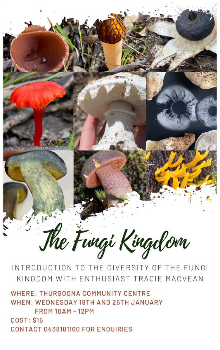 Fungi with Tracie Mcvean - good opportunity to tune up skills for this coming fungi season...in air conditioned comfort! <a href="/HolbrookLN/">Holbrook Landcare</a>