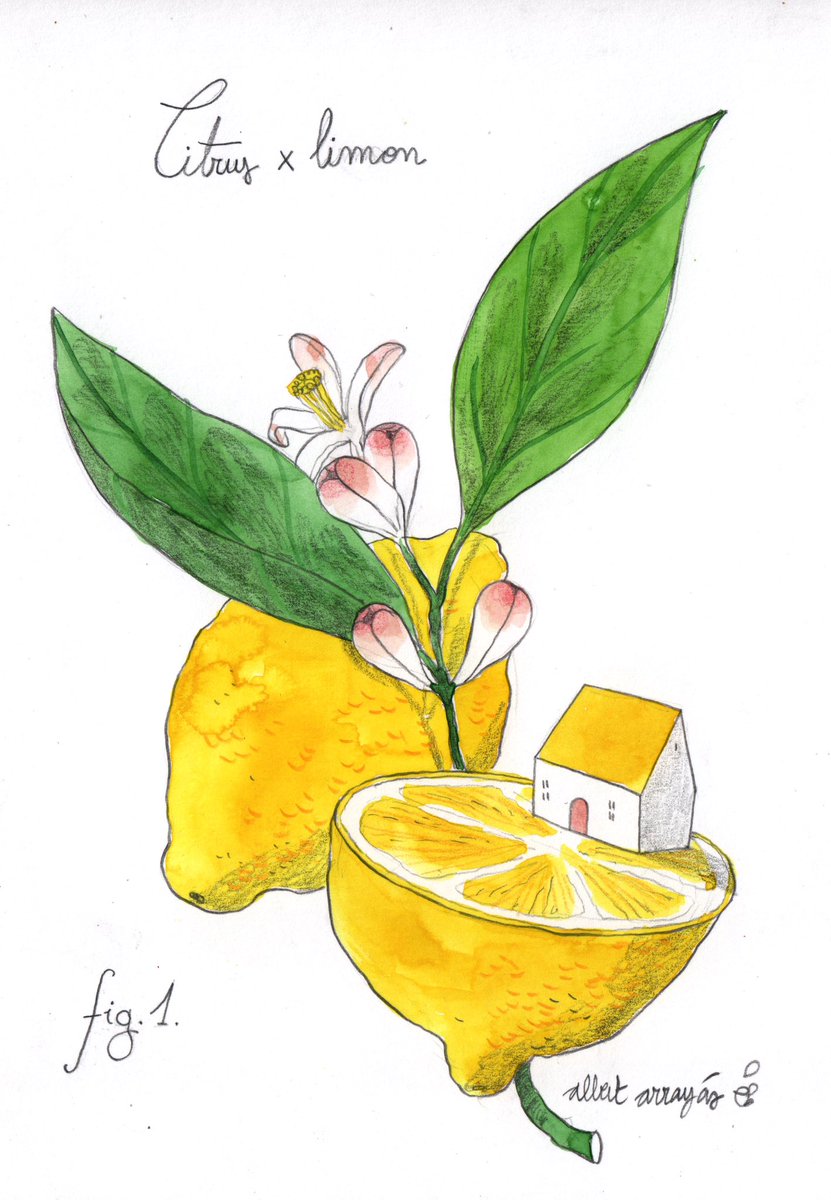 AlbertArrayas's tweet image. It’s #PortfolioDay ✨! 
.
Hi, I'm a Children's Book Illustrator rep'd by @lillarogers ✨💕 See my work at: albertarrayas.squarespace.com ✨🎨