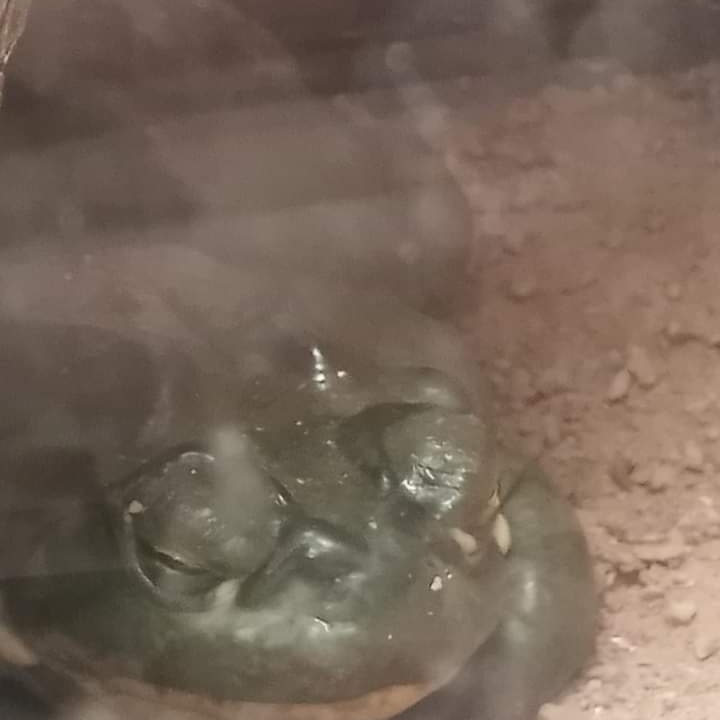 DrakeFowler18's tweet image. 