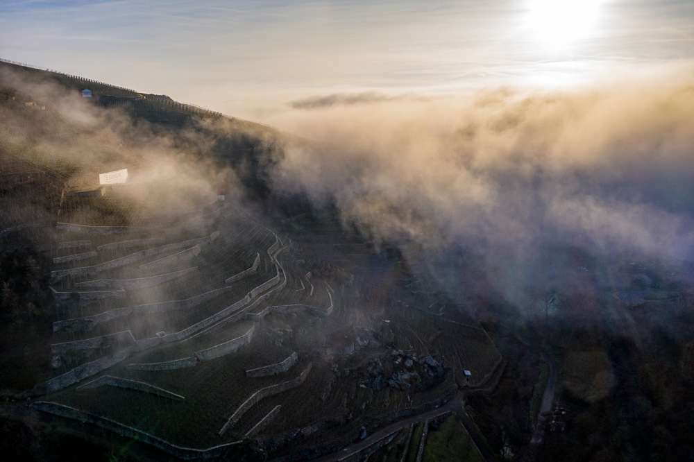DOMAINEGUIGAL's tweet photo. [PAYSAGE] Dans le brouillard de Côte-Rôtie
#laturque #coterotie #guigal #domaineguigal
[LANDSCAPE] In the fog of Côte-Rôtie
📷 @schalayephotographie https://t.co/nSFs5k6ncI