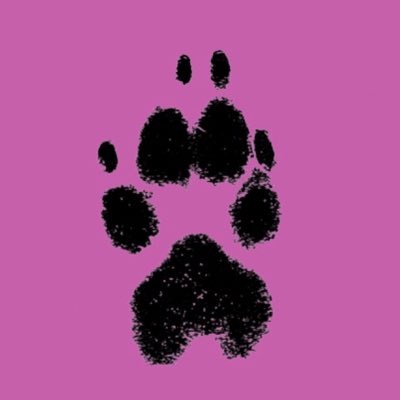 Puntiika's tweet photo. #NuevaFotoDePerfil https://t.co/J8OTBbYir0