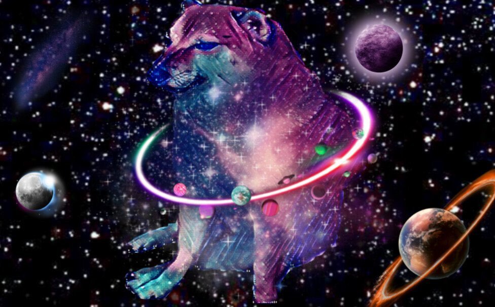 When the edible kicks in star via /r/dogecoin by cryptoheimdallr
#ElonMusk #dogecoin #dogearmy #Doge4Tesla #AcceptDoge #Doge #DogecoinToTheMoon #Dogefam