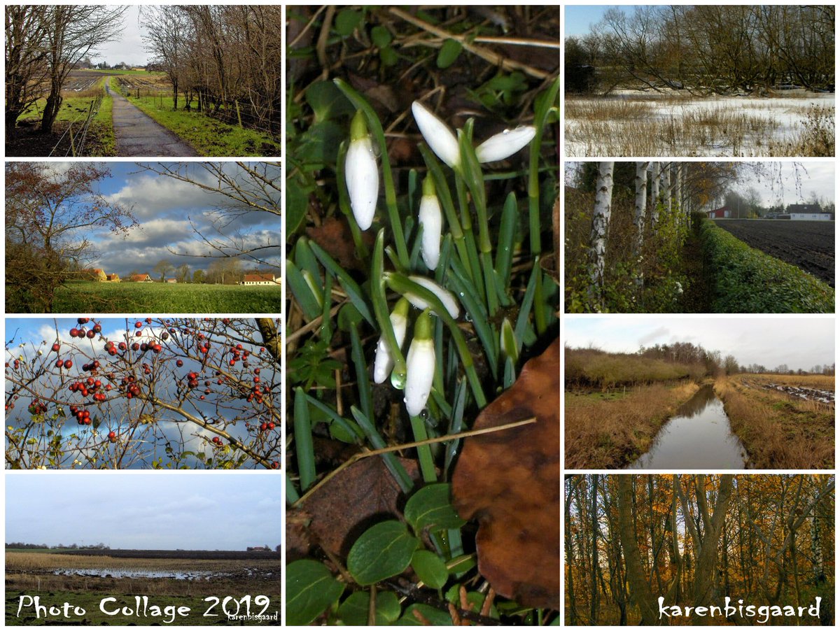 KarenBisgaard1's tweet photo. https://t.co/V46IobHB3f
#naturephotography #winter2019 #photocollage https://t.co/fnNhCQZjPT