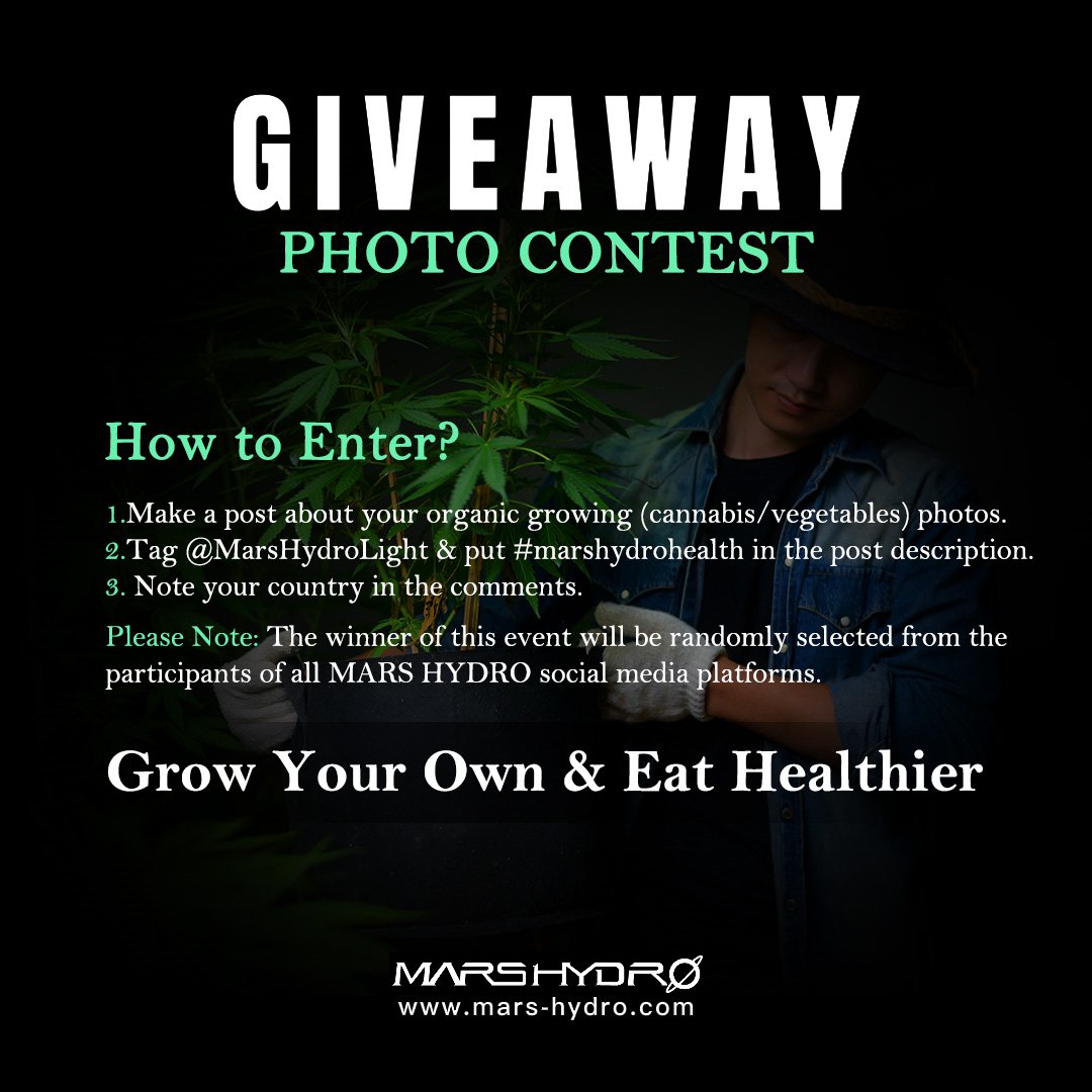 MarsHydroLight's tweet photo. MarsHydro Photo Contest &amp; Giveaway 
Theme: Grow your own &amp; Eat healthier  

#2 Round: 2023/1/11-2023/1/15
Draw Time: Jan 16th.

Good luck all &amp; sharing makes more fun!💚

@MarsHydroLight
#marshydro #MarsHydroHealth #VG80 #hydroline12 https://t.co/cTGYVuRiLS