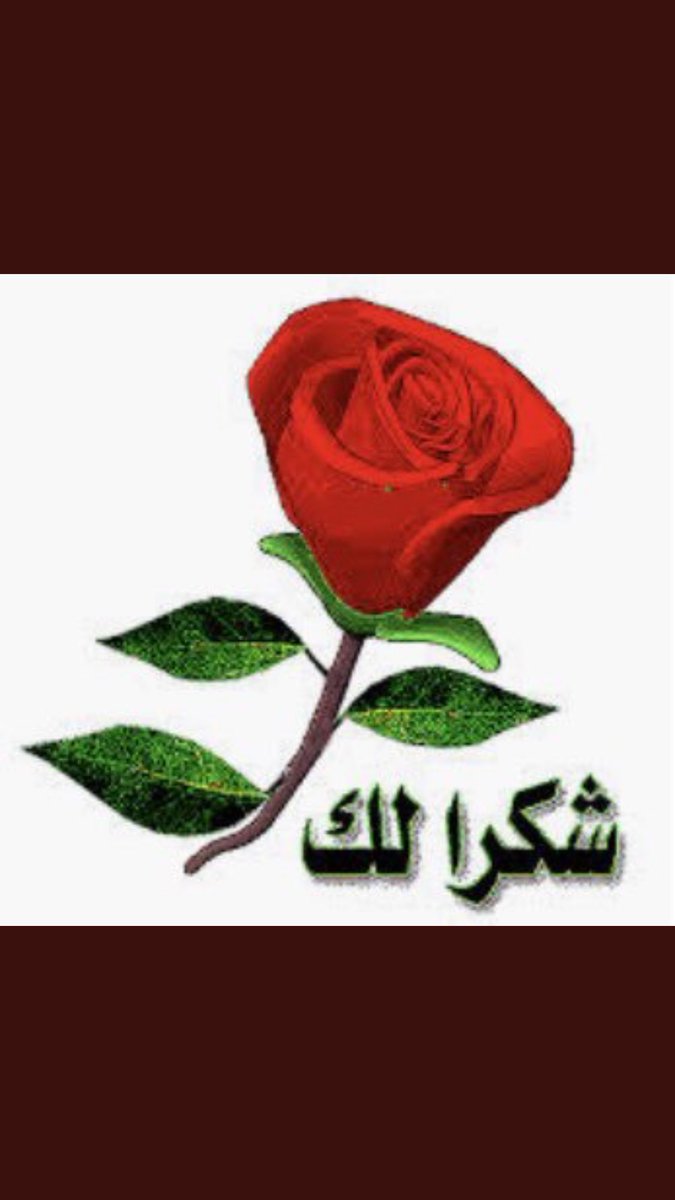 @endahsang @Muhamma53074277 @NKhizra @abdulbasitalvi @mohmmed14347 @happymoments4u @saranoo14119598 @Sangry_89 @tarekahmady22 @MrNaassir @Aboutmohammad8 @ali123456789900 @shemaa38199085 @amaldaayan @XfaisalhamadX @s3eed_alharbi @sushilpershad @ChefYousuf @abeer86420248 @Hajialyas1 @ekich89saja @osmansa93404122 @Kasione8 @AsadAli71832390 @hamedomaribrah3 @R4R98 @Khadija_J17 @HAZELTAZZZ @Asian_Poetry @radia_alhajj @noorfatima100 @saidzitari261 @HKamella @Thamer55572 @mawarbe08 @PASUMNOSUNNI @SafeerButt4 @Aa46777927 @IShahzad2011 @H0XL4QpYgcsYr5j @KholoudDje @howida62 @saiedmasood123 @Bunga20828311 @Sallslam @Hq5DGFsuQLcm0UQ @azeeco @TLJth9t8v0UQl67 @M__Ossman