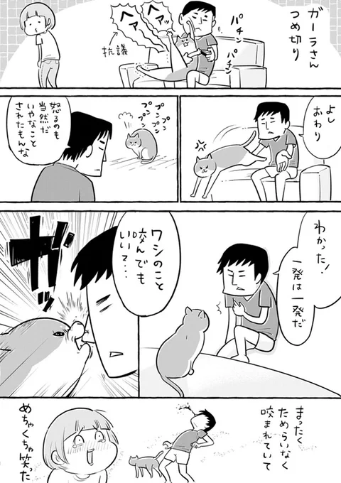 爪切りをされ、ご立腹な猫 その後の『仕返し』に「なんて潔い」の声 https://t.co/LKLN2hInSF @grapeejpより 
