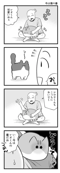 「なんで?」「どうしてそういうことするの?」 猫からの『深い愛情』に笑う https://t.co/cnCALG06k7 @grapeejpより 