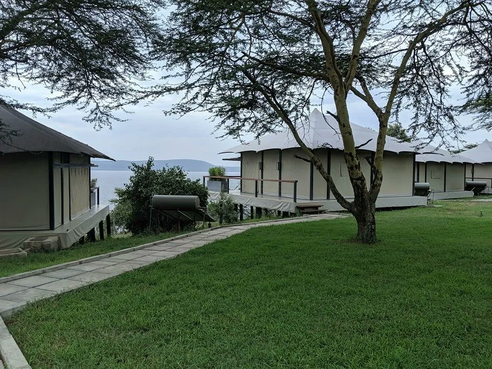 Esperienzalife's tweet photo. A view worth waking up for, overlooking the stunning Lake Nakuru, the perfect place to unwind and rejuvenate.

You Can stay in Nakuru for the weekend with your loved ones or friends, starting at Kshs 15000/- Per Person Sharing.

 📲0702022875
📲0710254393
📨info@esperienza.co.ke https://t.co/iSS5VQ5Bhq