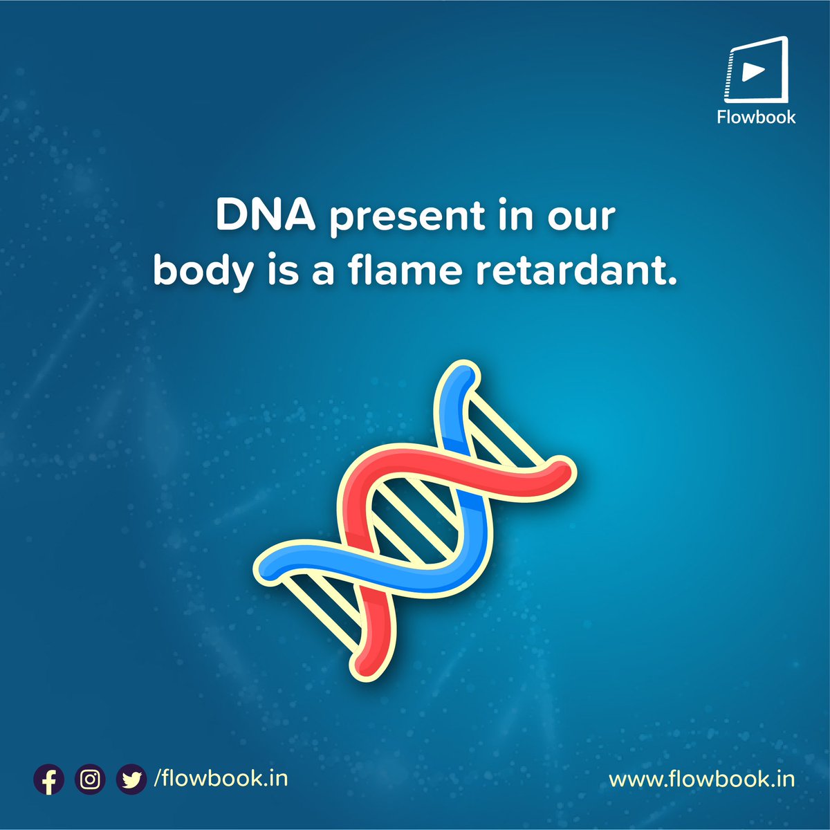 FlowbookIn's tweet image. Due to its structure when it is heated up the phosphate restraining backbones generates phosphoric acid that chemically replaces water and produces a flame.

#Flowbook #Education #EduTech #Learning #EducationalApp #SchoolLearning #Biology #DNA #Genetics