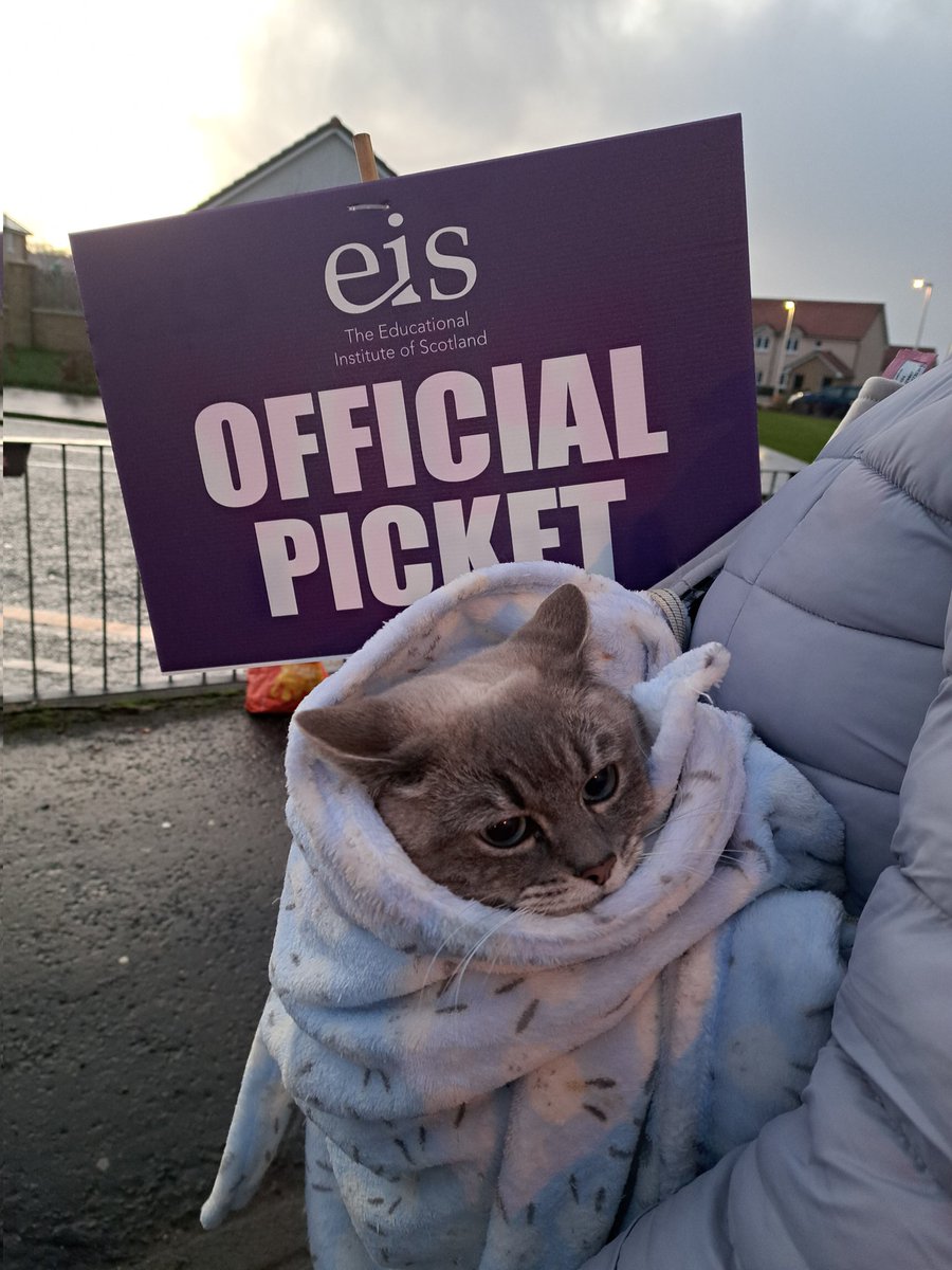 MissPurbrick's tweet photo. Inverkeithing High School's picket line this morning! Even featuring our mascot Ivy! @eis @EISFife #EISStrike #EISUnion https://t.co/Z4f0eHF4PU