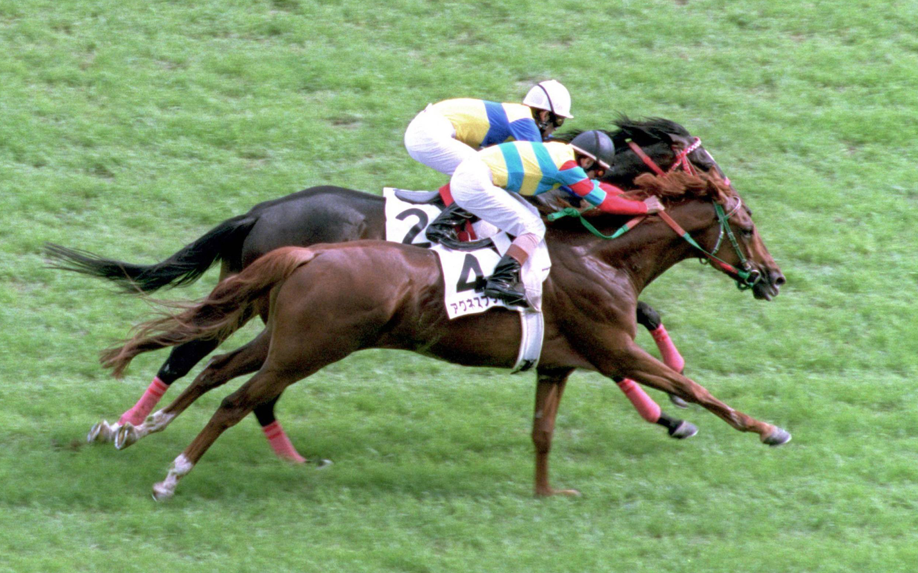 匿名送料無料 懐かしの単勝馬券 ☆アグネスフライト 第67回 日本 匿名送料無料 懐かしの単勝馬券 ☆アグネスフライト 第67回 日本