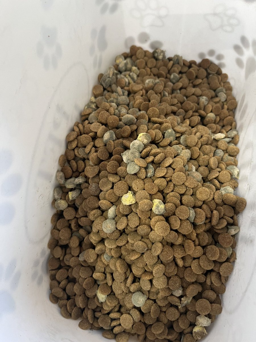 cmorganbarrett's tweet photo. @HarringtonsPets wow!! Just bought this from Asda, absolutely shocking!!! https://t.co/sD5zcbdsml