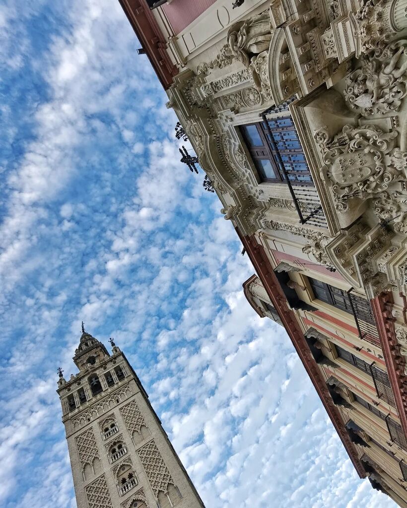 flivillegas's tweet photo. #amanecer con cielo emborregado #giralda #palacioarzobispal #sevilla #igerssevilla #fotodeldía #picoftheday #bestoftheday #bestcitypics #cities #bestphoto #city #skyline #skylinehispalense #sunrise #sunriselover #sevillahoy #igersspain #sunriseloversofinstagram #españa #disc… https://t.co/sI20kQwHrH