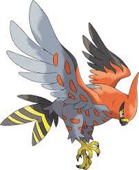 JustinChanHK's tweet photo. @PSG_Talon @CTBC_cfo Talonflame: am I a joke to you? https://t.co/7SeDiMN7bh
