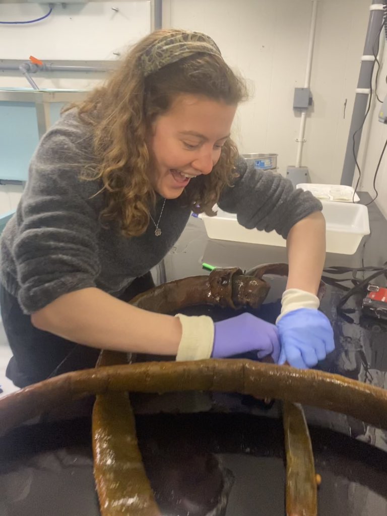 Emma Stuart tweet media