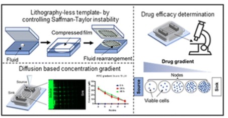 Lab on a Chip (@labonachip) on Twitter photo Design and validation of a flowless gradient generating #microfluidic device for high-throughput #drugtesting
<a href="/BachalKetaki/">Ketaki Bachal</a>, <a href="/Shitalsy/">Shital</a>, Prasanna Gandhi & <a href="/abhijit_MLab/">Abhijit Majumder</a> et al.
<a href="/iitbombay/">IIT Bombay</a>
🔗 bit.ly/3XqcWjZ Design and validation of a flowless gradient generating #microfluidic device for high-throughput #drugtesting
<a href="/BachalKetaki/">Ketaki Bachal</a>, <a href="/Shitalsy/">Shital</a>, Prasanna Gandhi & <a href="/abhijit_MLab/">Abhijit Majumder</a> et al.
<a href="/iitbombay/">IIT Bombay</a>
🔗 bit.ly/3XqcWjZ
