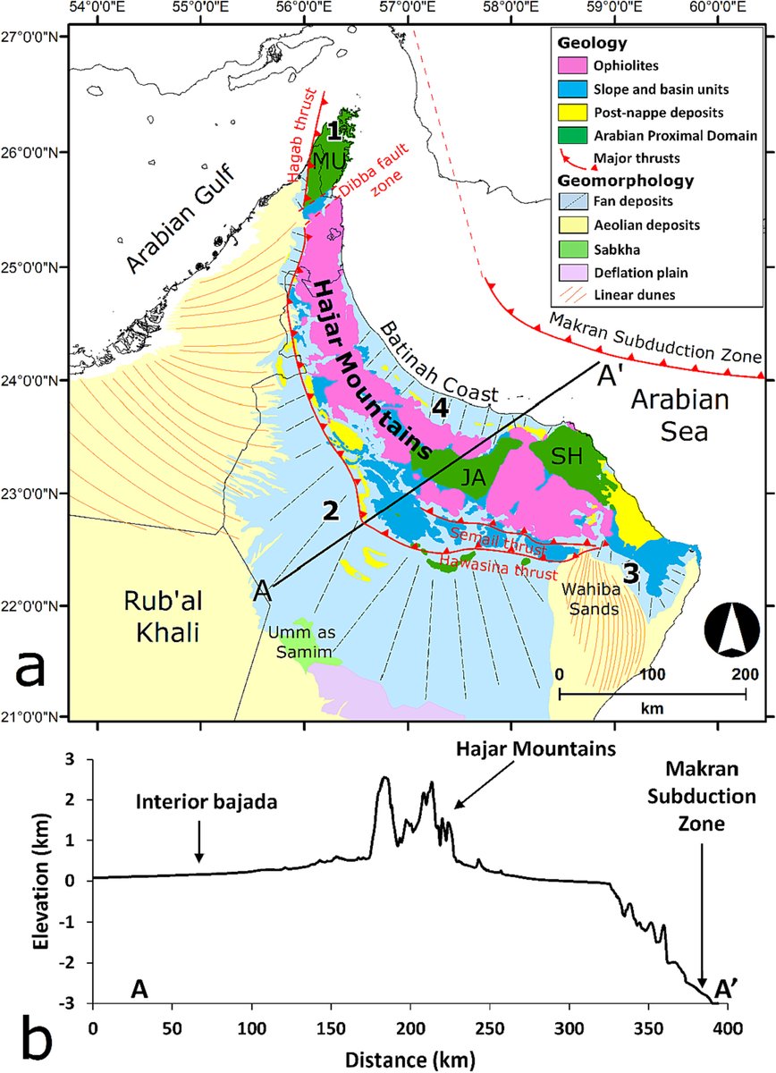 We used remote sensing to measure morphological variables for 438 alluvial fans and catchments in south-east Arabia. 2/4