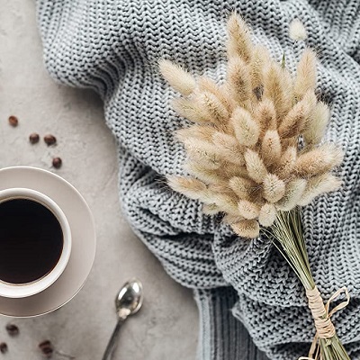 g_personalise's tweet image. At Gifts Personalise, you can shop our superb collection of dried #bunny_tail_grass which is perfect for wedding décor, baby showers, indoor/outdoor use, and #home_décor. It can add natural and #artistic_beauty to your house.

Go here for more details bit.ly/3X6ajE4!
