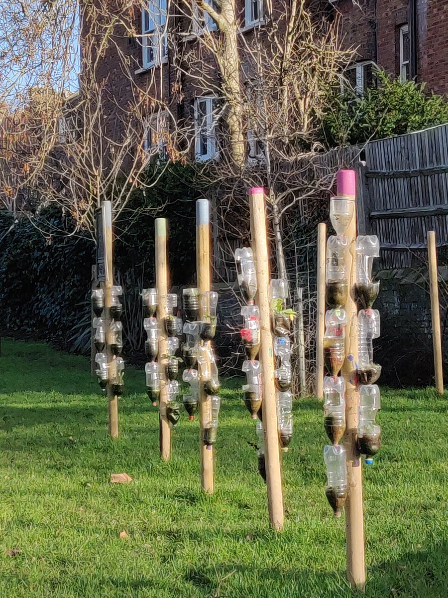 Kilburn Community Garden - Anyone Can Grow tweet media