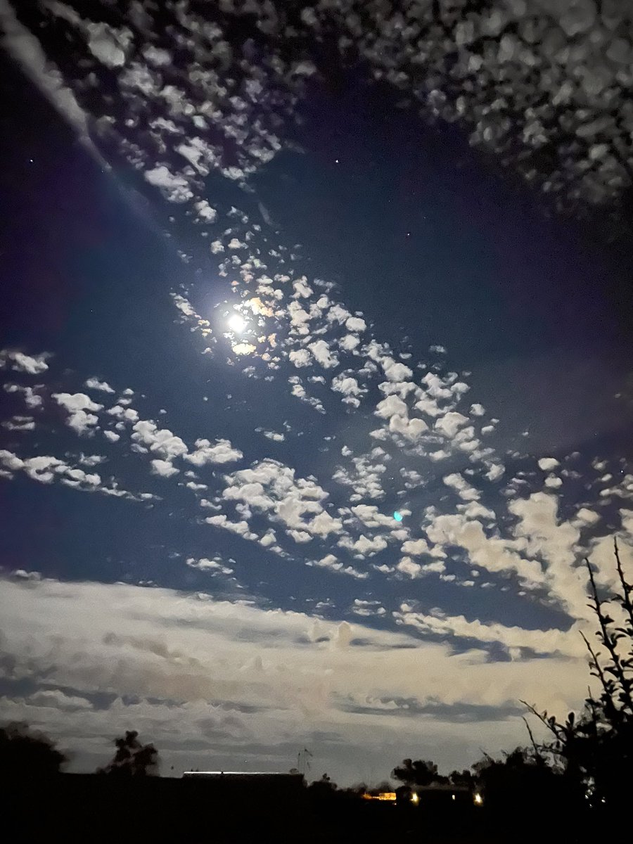 Donuthoee's tweet photo. @dessieboo_1624 Sorry I saw this late!!! But yes! It was so pretty and bright! https://t.co/V994rpYgeu