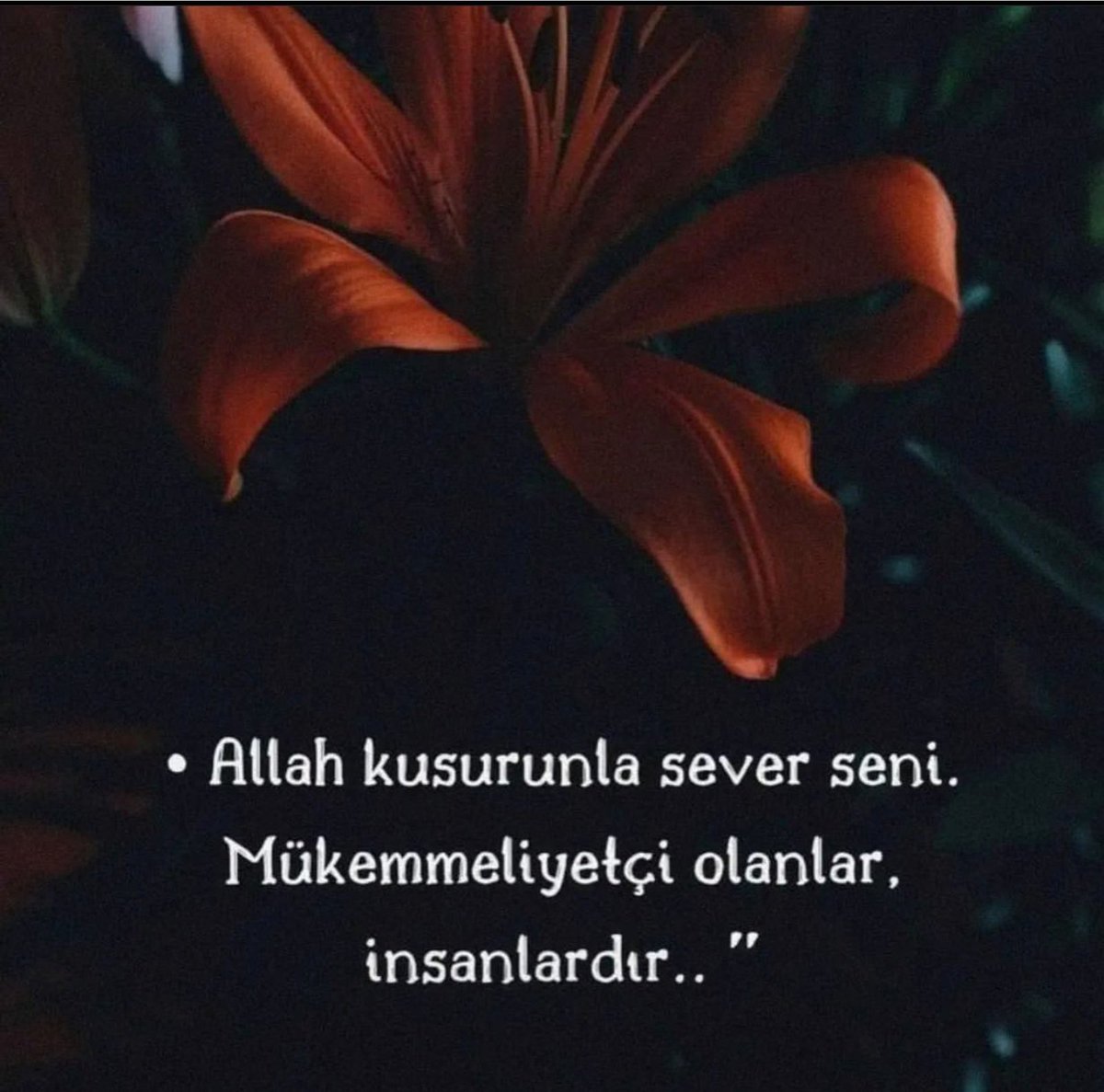 Kayı_osmanlı (@kyg_06) on Twitter photo 