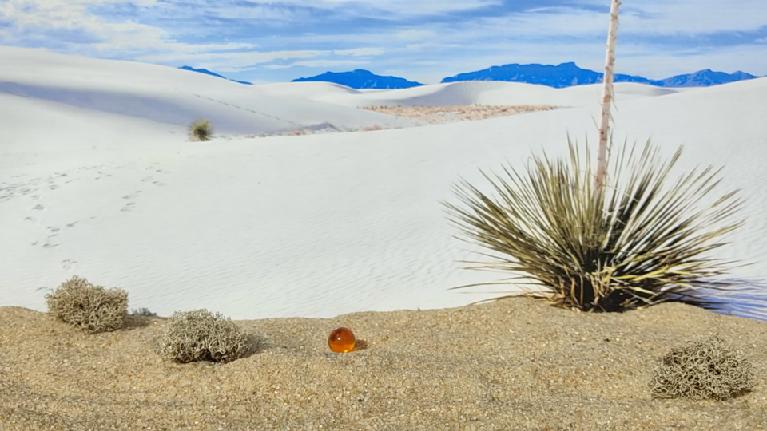 collection desert opensea