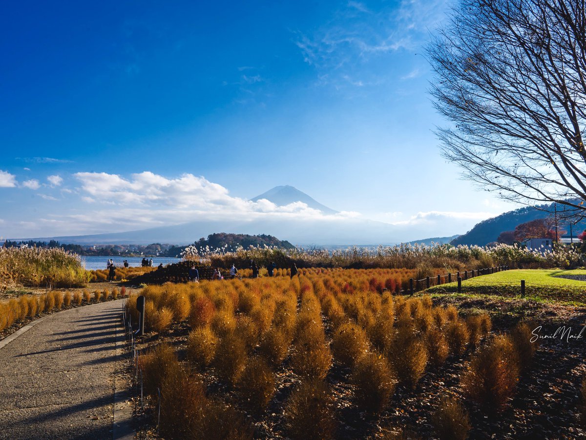 sunillnaik's tweet photo. Same place, different seasons 
- Mount Fuji https://t.co/IBLSk59cKK