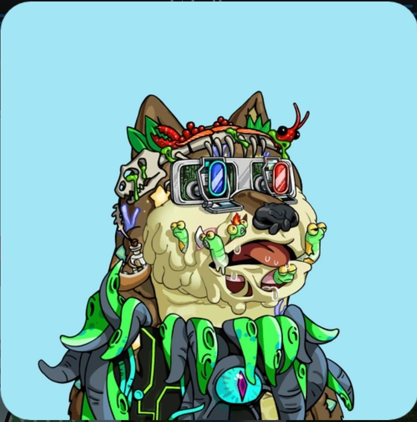 dingo8mbaby's tweet photo. @DogeClub_NFT 🫡My vote would be for unlisted MDOGE or listed at 1Eth+ to be included in the #MegaMutantMonday there should be incentive to those who 💎hand https://t.co/VMOGzlNuVN