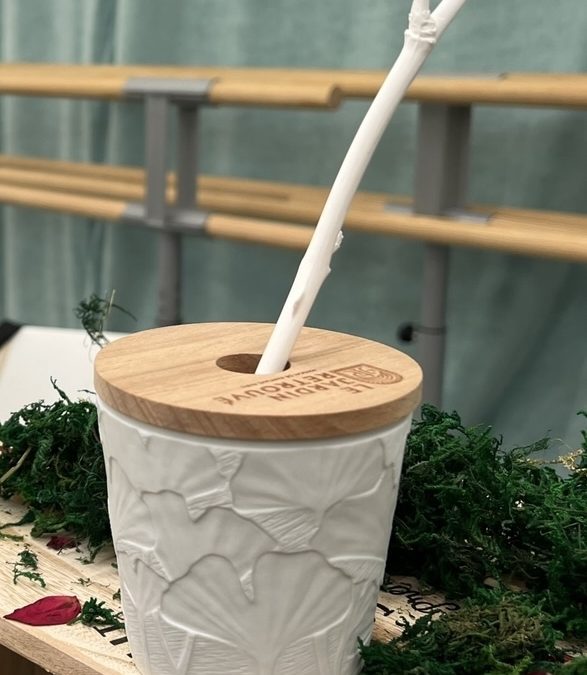 JardinRetrouve's tweet photo. πThrilled at this glowing review of our scented stems in Zenitude Profonde Le Mag: "a perfect aesthetic...You will probably be as bowled over as I was myself." https://t.co/9sWsis0Vii #scentedstem #sustainable #homefragrance #reuse #objets #lejardinretrouve #madeinFrance https://t.co/XGMe223AwK