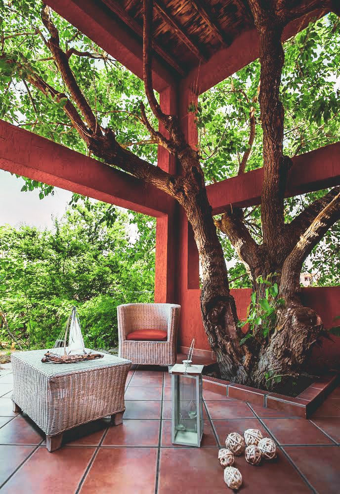 Varos_Village's tweet photo. Enjoy every little moment and relax at our Varos Residences Hotel
-----
Απολαύστε κάθε μικρή στιγμή και χαλαρώστε στο Varos Residences Hotel.

#varosvillage #varosvillagehotel #residence #hotel #lemnos #limnos #relaxing #balcony #nature #calmness #thevarosresidences https://t.co/Tn2kVftybH
