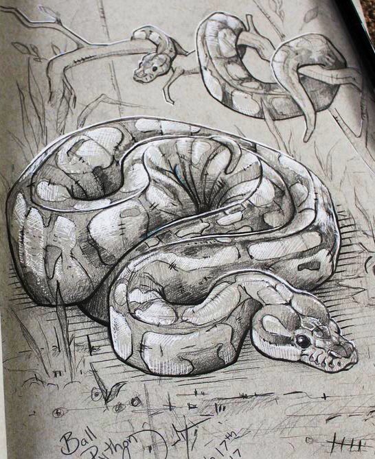 segalink's tweet photo. A woman had a pet snake she loved dearly. So when it stopped eating, she took it to a vet. 

The vet asked, “Has your snake been sleeping beside U at night while snuggling real close?” 

The woman replied, “Yes, every night, it makes me so sad that I can’t help him feel better.” https://t.co/nVKxAhQ71i