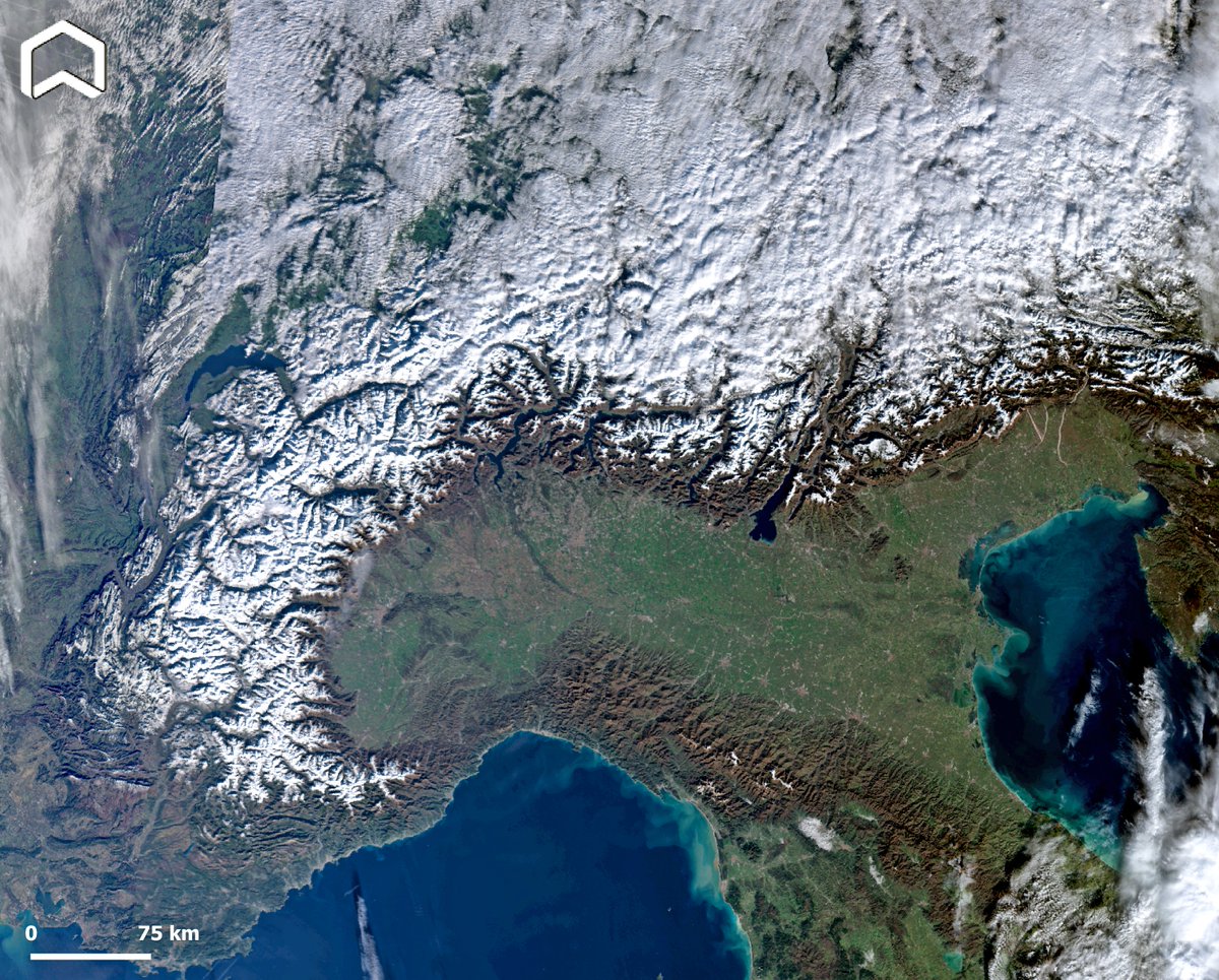 ADAM Platform tweet media