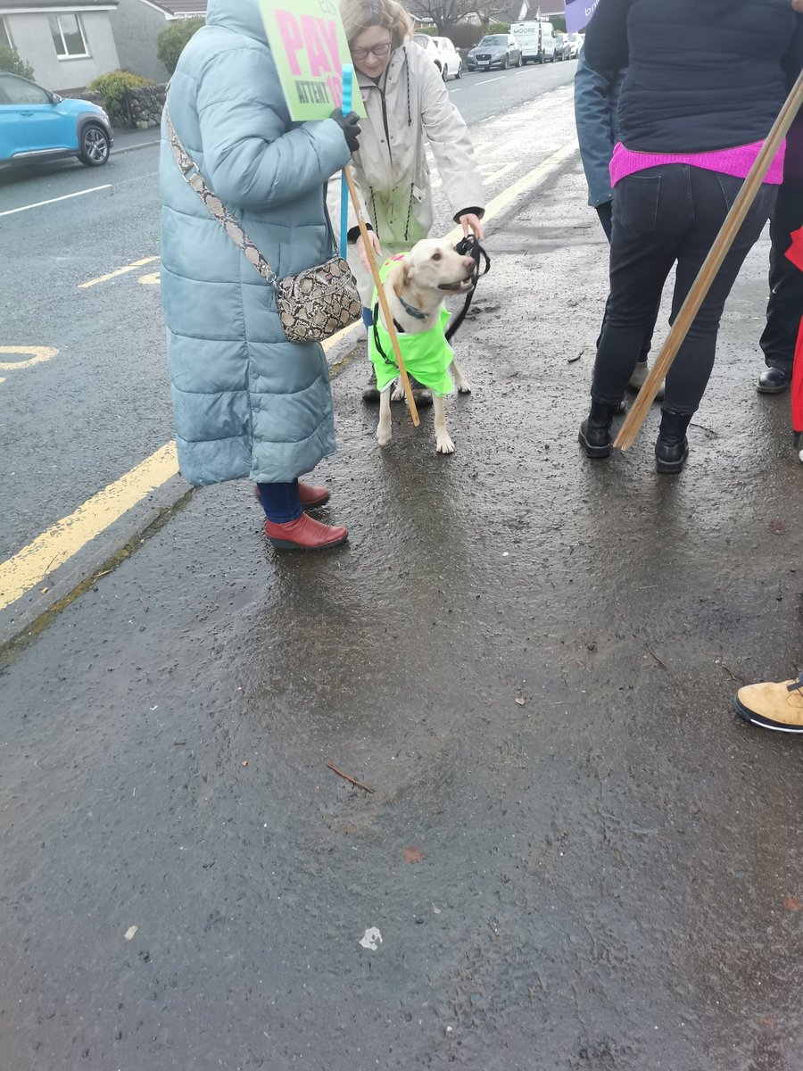 Dogs on the picket line <a href="/EISUnion/">EIS</a> at Gryffe