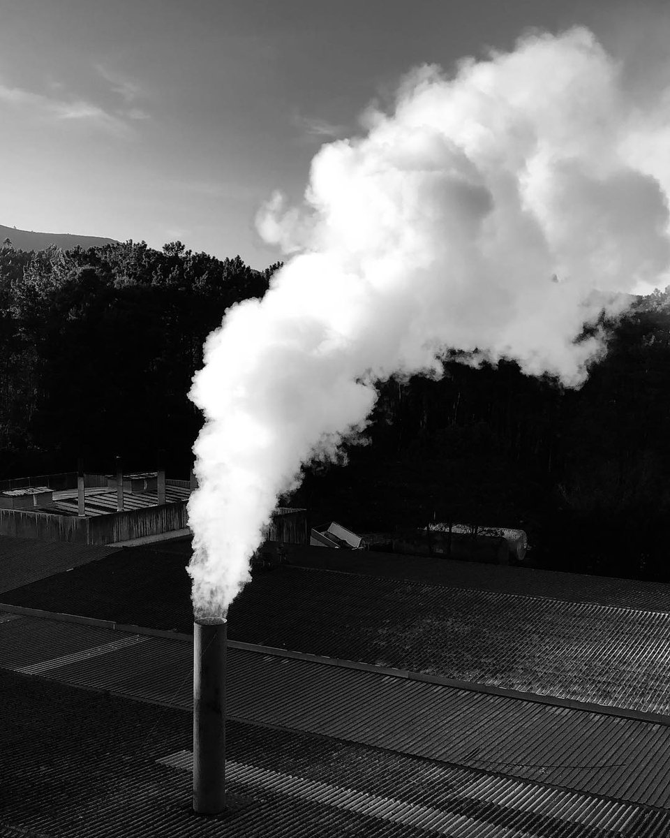 PelletsPremium's tweet photo. Para conseguir esta calidad, nuestro centro productivo de Brión (A Coruña) 🏭 cuenta con la tecnología de fabricación más eficiente👌

#Biomasa  #pellets #bioenergia #energía  #cambioclimatico #ENplus #SURE https://t.co/7ebsUapRRa