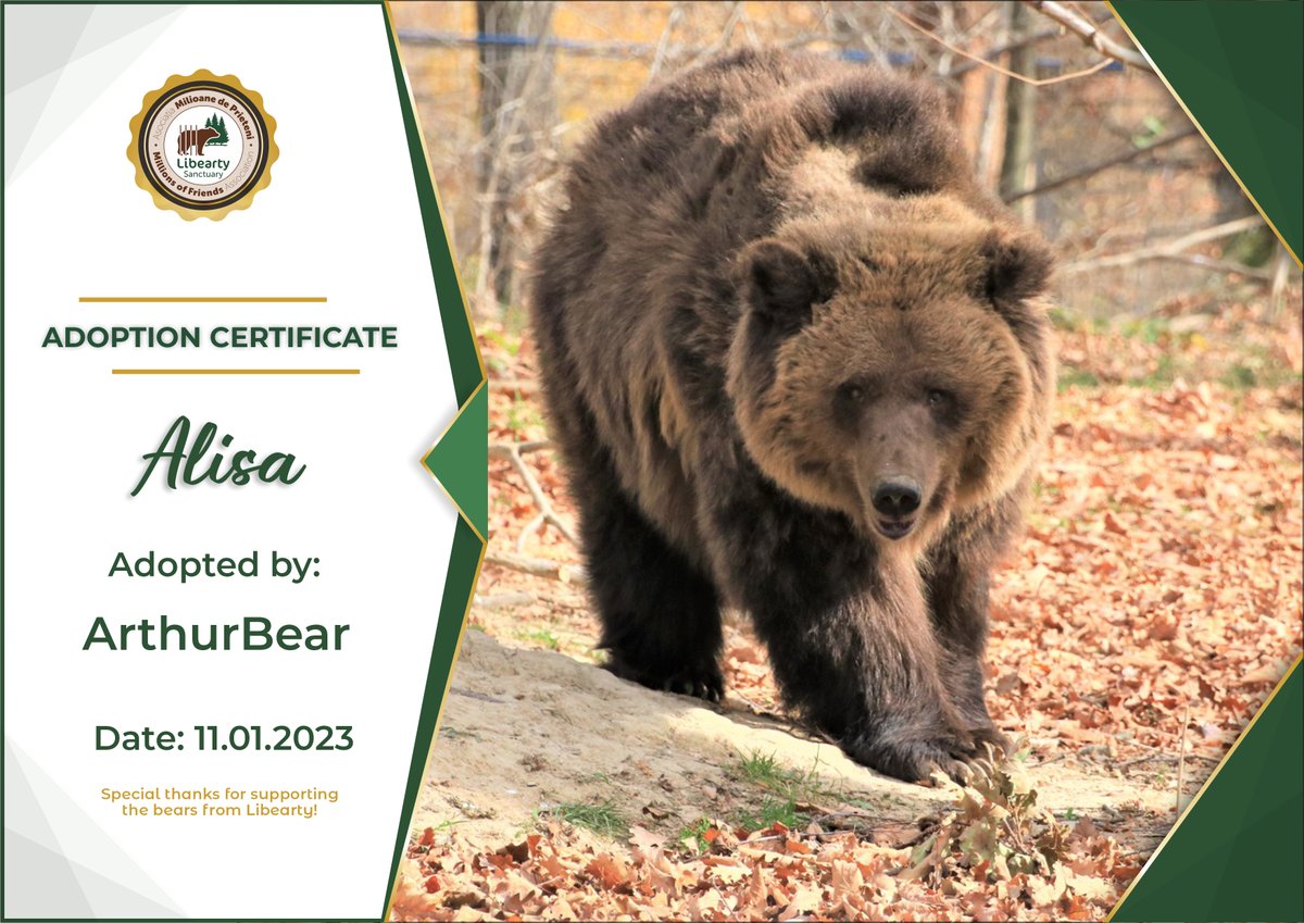 ArthurBearCoin tweet media