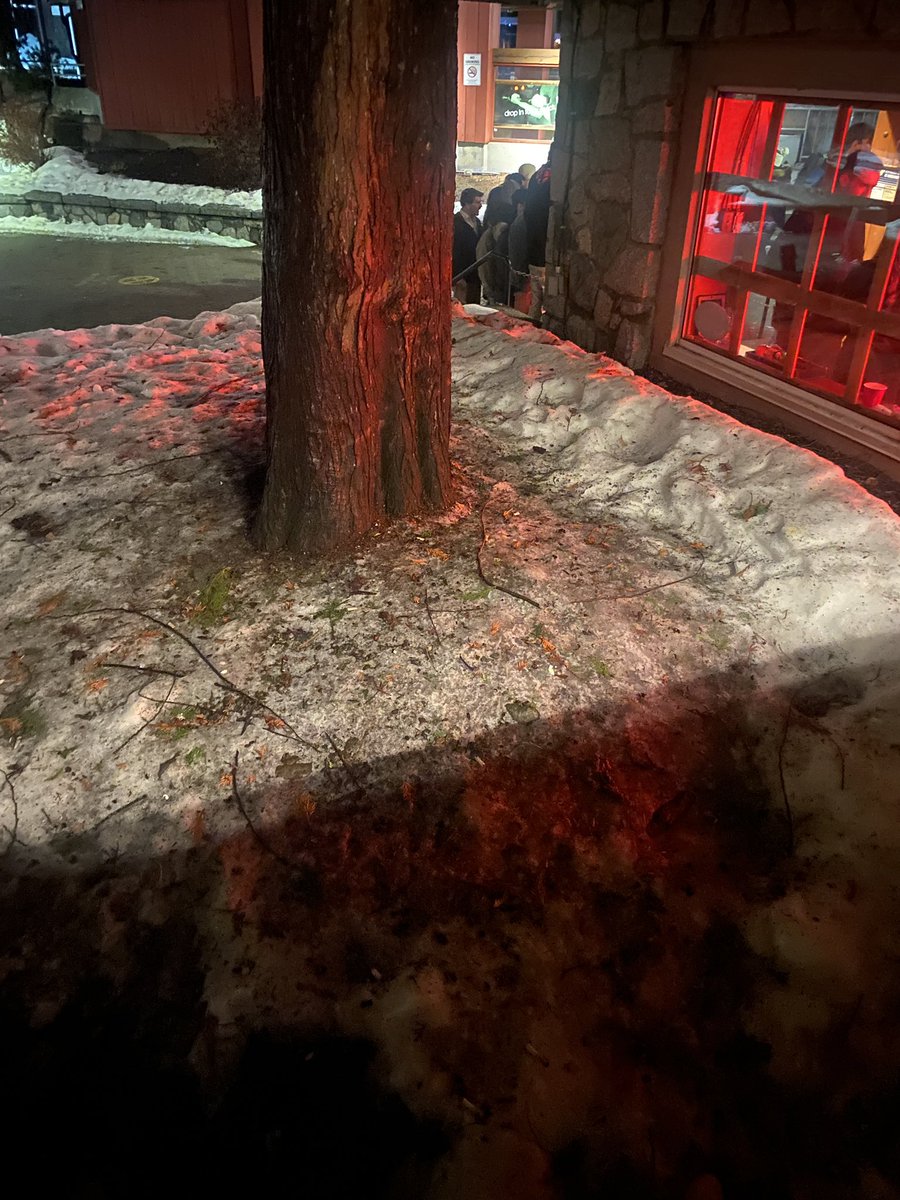 kaileyhemp's tweet photo. This is worse then when my dad left. Where the fuck are my raccoons? https://t.co/vTOPkO33mq