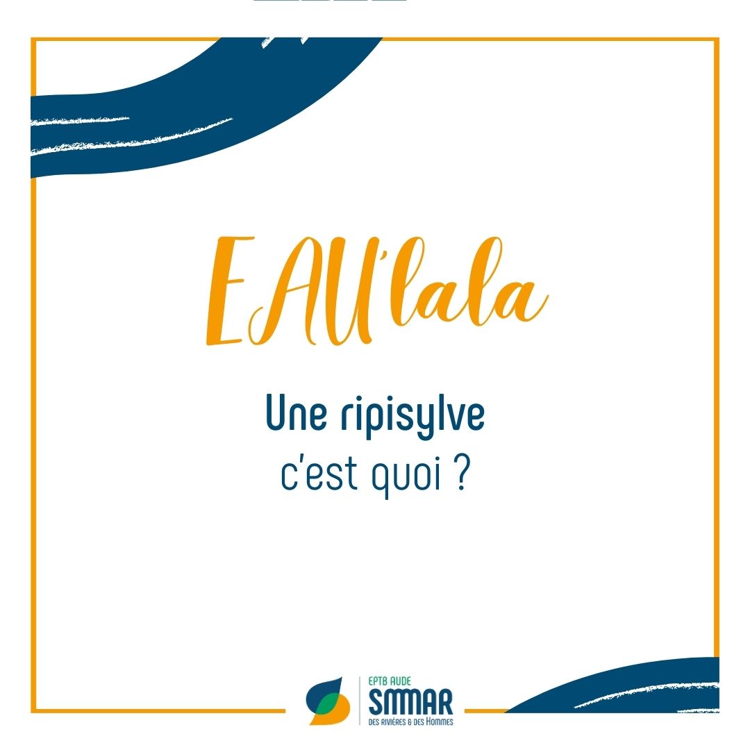 smmar_aude's tweet photo. #EAUlala | Une #ripisylve câest quoi ? đ
C'est la vĂ©gĂ©tation des bords de cours dâeau. Sur le bassin versant de lâAude/Berre/Rieu elle est composĂ©e dâAulne, Saules, Peupliers⊠Elle stabilise les berges, amĂ©liore la qualitĂ© de lâ#eau... https://t.co/ZibdXYpoVb https://t.co/F7xE35Zbyw