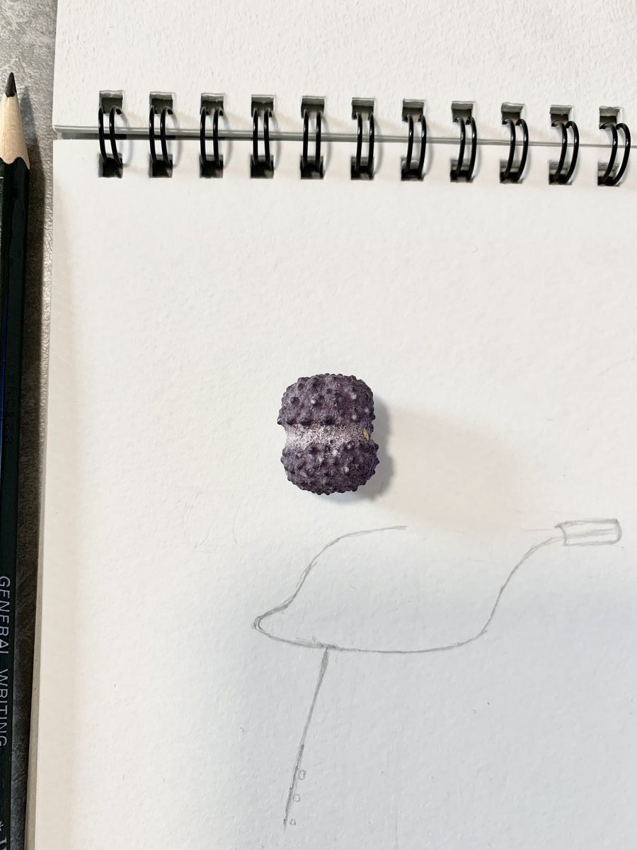 J52050276's tweet photo. 最強のお菓子！！！
「nerds」って海外のお菓子！！
友達は、ゴムゴムの実みたいって言ってた。
けど、自分はドンキーの敵に見えた。
#nerds https://t.co/MIVQvAXFJj