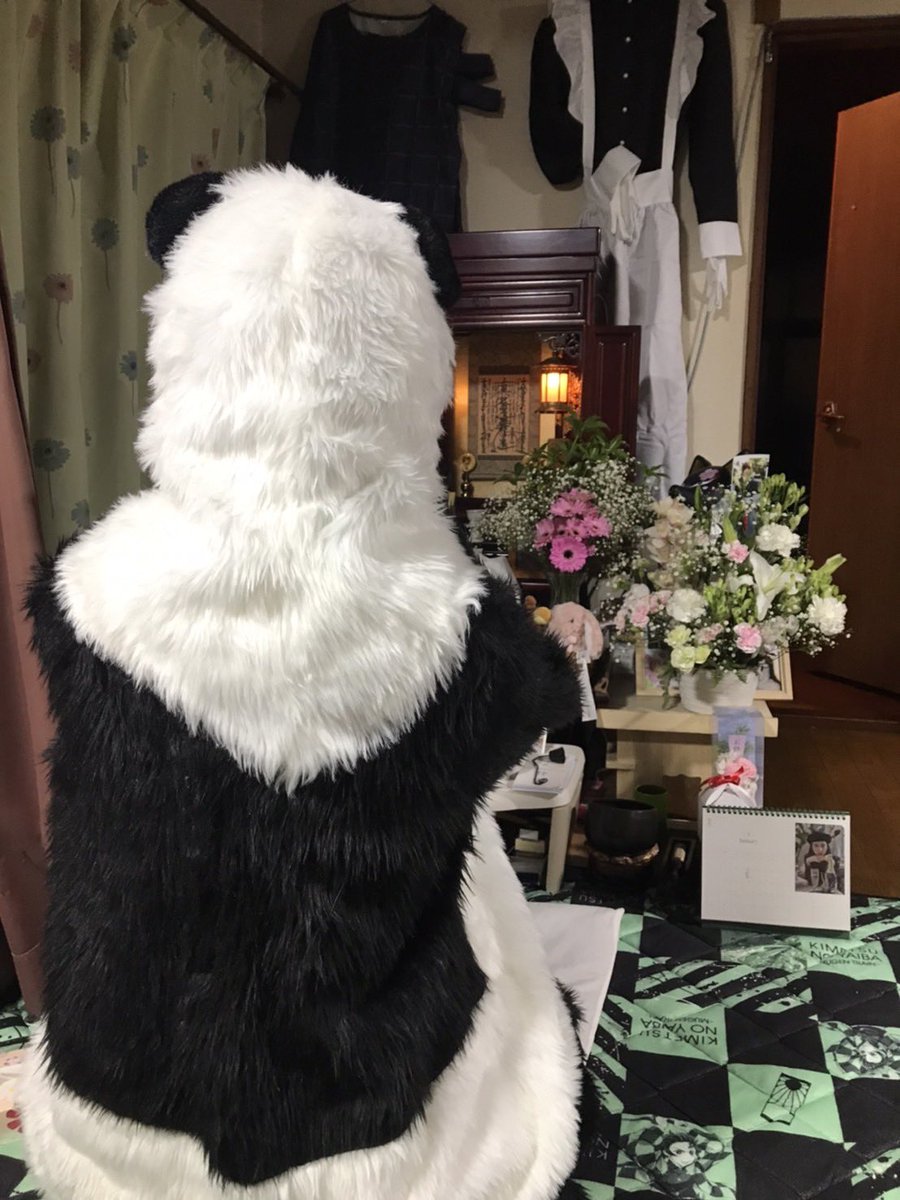 mxmxpiiii_'s tweet image. パンダ先輩〜🐼
それ、ライオンキングやん