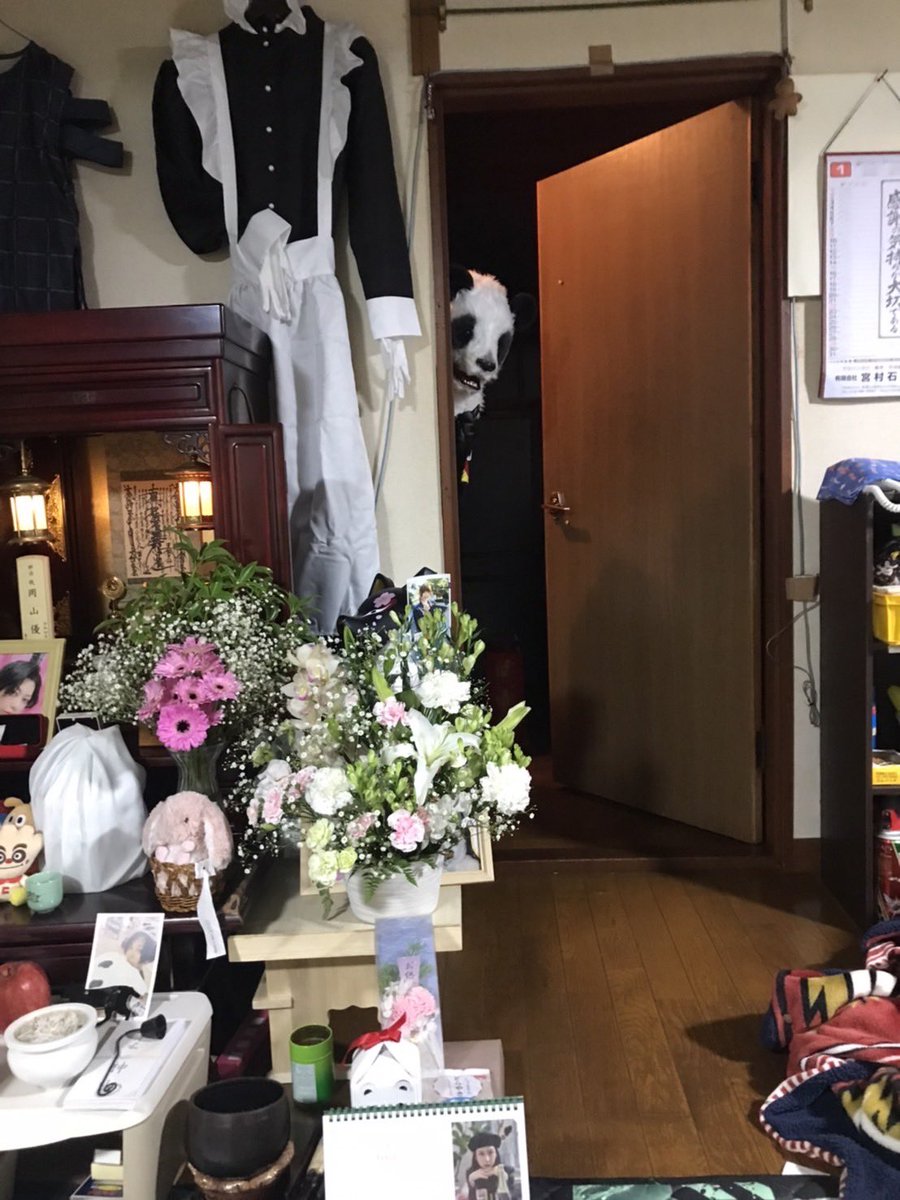 mxmxpiiii_'s tweet image. パンダ先輩〜🐼
それ、ライオンキングやん