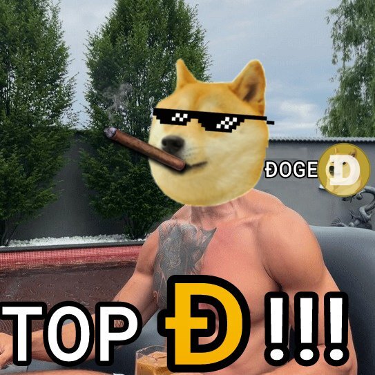 In 2023, DOGECOIN will surprise again, what do you think? via /r/dogecoin by cryptoheimdallr
#ElonMusk #dogecoin #dogearmy #Doge4Tesla #AcceptDoge #Doge #DogecoinToTheMoon #Dogefam