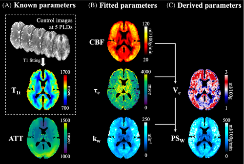 Two (!) new papers from our #LOFTlab investigating #BloodBrainBarrier exchange using #MRI 
#neuroscience #fMRI #brain #health #medicine #KeckMedicine #neuroimaging

onlinelibrary.wiley.com/doi/full/10.10…

doi.org/10.1093/brain/…