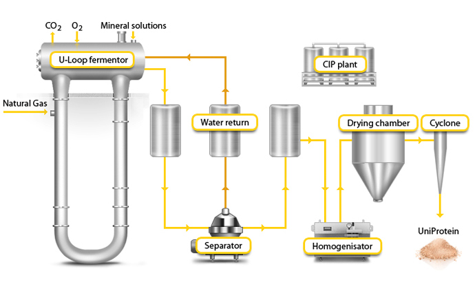 uni_bio's tweet photo. The diagram below illustrates the #Uniprotein® fermentation process. 

Find out more about us and how you can get involved from the link below. 

👉https://t.co/BxJRE4Deo4

#UNIBIO #naturalgas #sustainablefuture #biotech https://t.co/Sz8XobwyI7