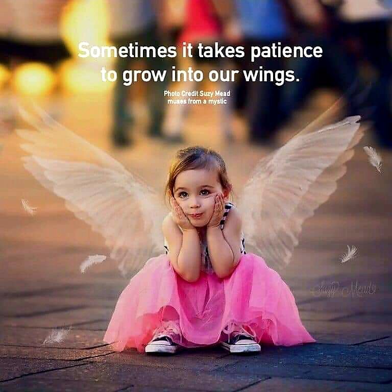 Jude🧚‍♀️Garden Fairy🌻🦋🐞 (@viafairyland) on Twitter photo 