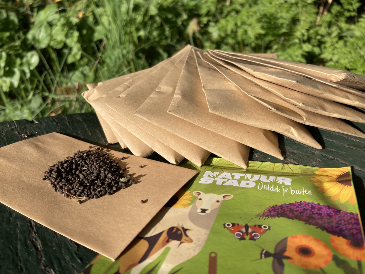 Doe mee met de 1e Zadenruildoos van Natuurstad🌻 

Heb jij nu al zin in het voorjaar? De voorpret voor het tuinseizoen begint nu! Kijk op natuurstad.nl/zaden-ruilen voor meer informatie over onze zadenruil-actie.