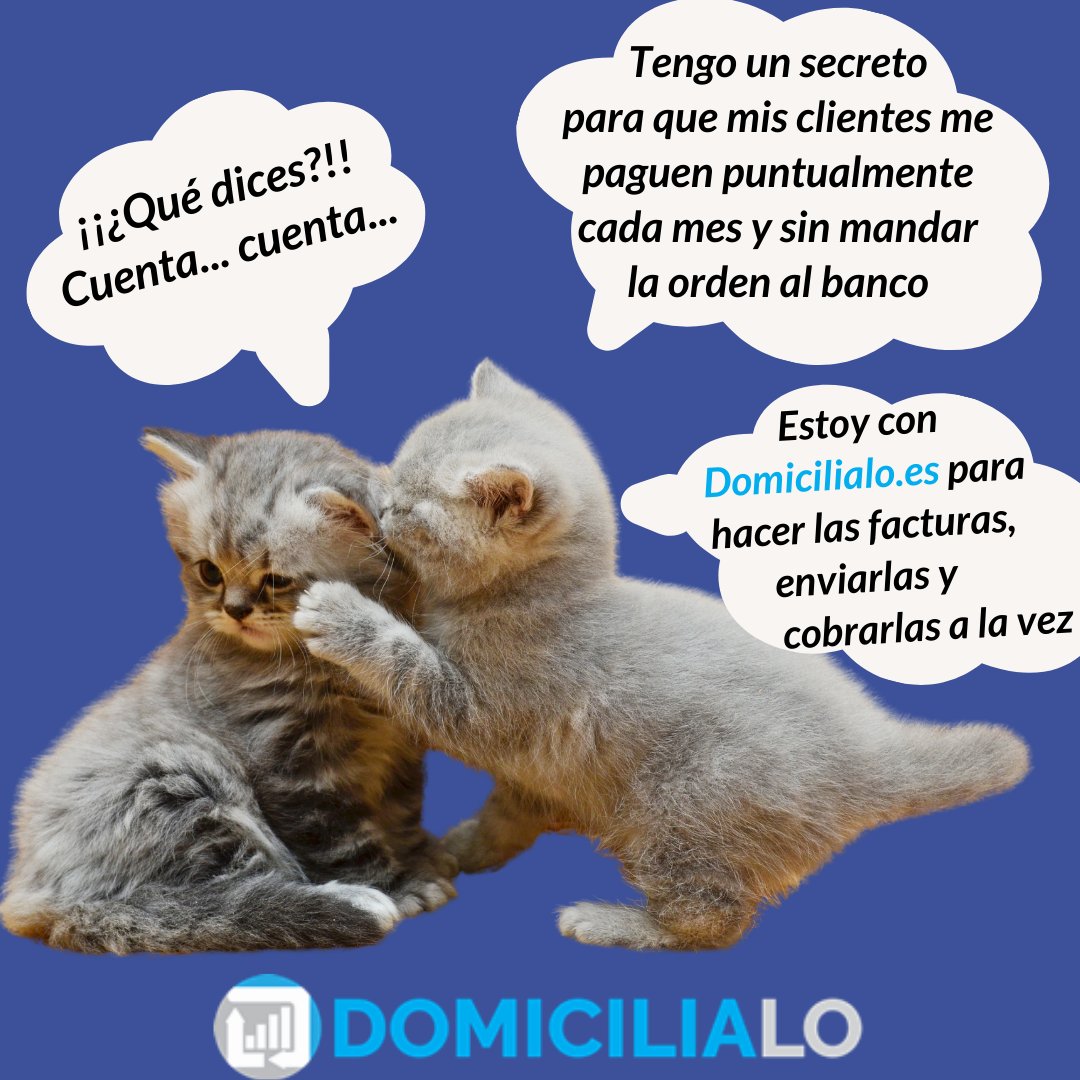 Domicilialo's tweet photo. 👉 Prueba sin compromiso https://t.co/6hqI2IXZYR para la gestión de cobros y cliente si quieres una empresa más eficiente.
🤫 shhhh... es un secreto

#domiciliacion #mediosdepago #domiciliacionbancaria #domiciliacionrecibos #tesoreria #autonomos #empresarios #asociaciones https://t.co/LmYb4qiYNe