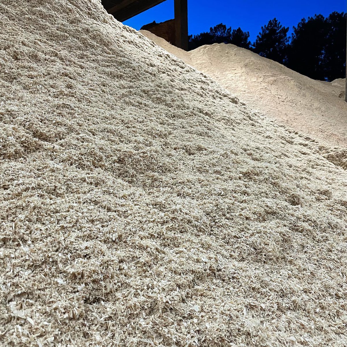 PelletsPremium's tweet photo. ¿Todavía no conoces los #pellets 👀? 

ℹ️ Es un producto natural, tiene forma cilíndrica y está lleno de energía verde 🔋 

Vagalume Pellet están confeccionados sin ningún tipo de aditivos 👉 serrines, virutas y astillas de coníferas procedentes de los aserraderos gallegos 🪚✔️ https://t.co/fPURUXiSDD