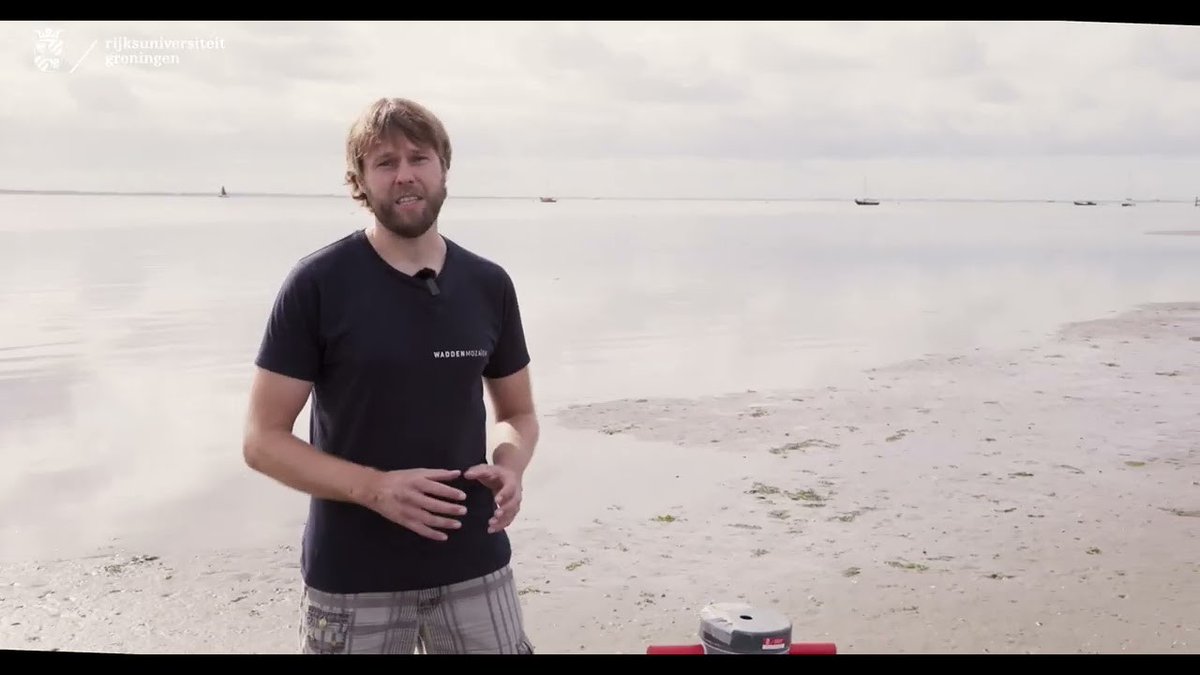 univgroningen's tweet photo. Nominatie #1: @oscar_franken (@ScienceLinX) onderzoekt wat er zoal op de bodem van de #Waddenzee leeft, waaronder wormen, krabben en schelpdieren 🐚 De resultaten van het onderzoek worden o.a. gebruikt voor het beheer van de Wadden. Lees meer 👉 https://t.co/8pQ9w4YOjZ https://t.co/flZJ9NwIMt