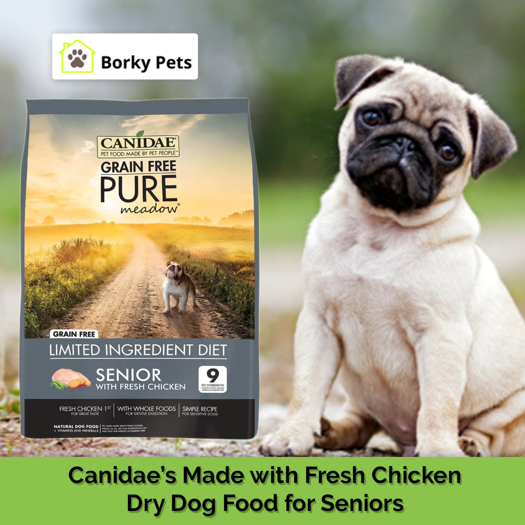 borkypets's tweet photo. Having a dog completes your world like no other, whether you are single, married, or have kids. Dogs enrich our lives. Owning a pet gives you a serene feeling. But it has its own downsides. 

Buy Canidae’s Made with Fresh Chicken Dry Dog Food for Seniors👉https://t.co/7qDYNCqTRJ https://t.co/I49MTW3qpt