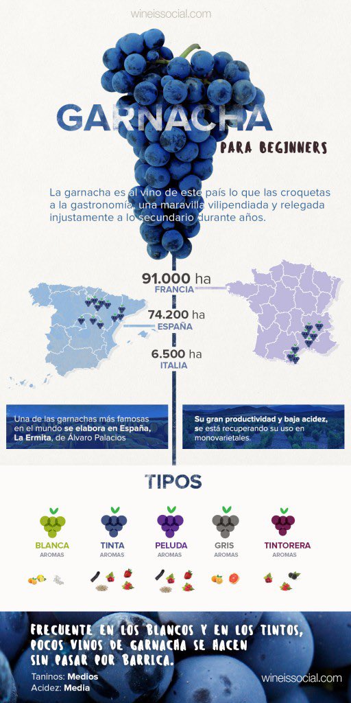 The Guardian of Wine tweet media